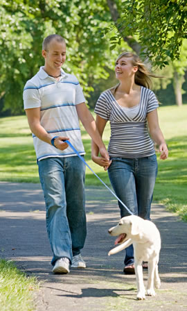 house sitters walking a dog