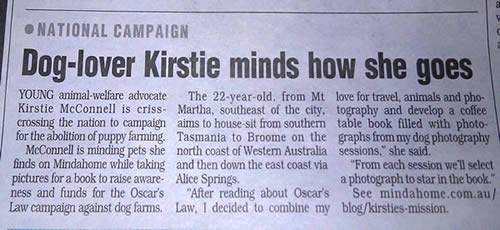 MX News reports on a Mindahome House Sitter